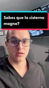 Pediatra En Cisterna Magna En Bebe