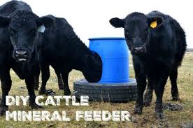 Diy Cattle Mineral Feeder Cattle Ranching Cow Feeder Cattle