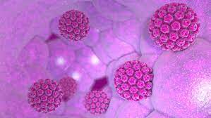 Hpv Transmission Risk With Pelvic Ultrasound Probes Hpv Hub Llc