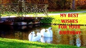 Happy Birthday Best Wishes Greetings Messages Song Funny Cute Animal Videos Whatsapp Facebook Youtube