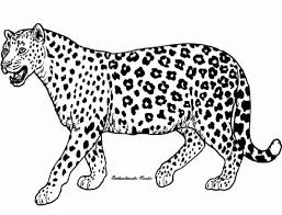 Search through 623,989 free printable colorings at getcolorings. Cheetah 7900 Animals Printable Coloring Pages