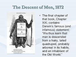 Literature Society Darwin S Origin Of Species Context And Impact Prof Dr Ben Peperkamp Moderne Letterkunde Vu Ppt Download