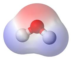 Answered] Identify The Compound In The Following Group That Is Most - Kunduz