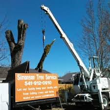 SIMONSON TREE SERVICE