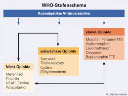 Korpereigene Opioide Begrenzen Morphintoleranz