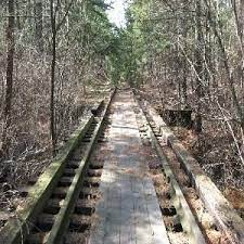 Wharton State Forest Nj Wharton State Forest Life Is An Adventure Trip Advisor