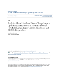 Image result for Peddiea rapaneoides