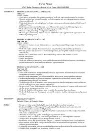 technical business analyst resume