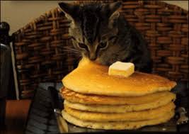 If you are having pancakes for breakfast, then you might be tempted to share them with your cat. Cat Eating Pancakes Pancake Stack Trending Gif On Giphy Via Ifttt Http Gph Is 2dtqgtj Pancake Cat Cat Gif Animal Gifs