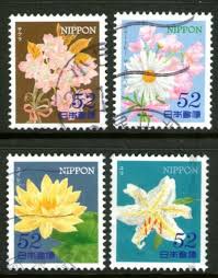 Image result for Dissotis princeps