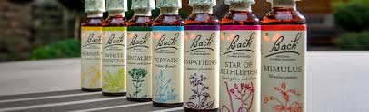 How do i decide which mental or emotional issues are most in need of assistance? Bach Original Flower Essences Nelsons Homeopathic Pharmacy