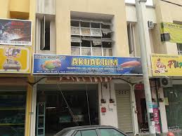 Ikan oscar ikan predator air tawar. Kedai Akuarium Dan Ikan Hiasan Excellent Aquatic ç‚¹è¯„ Facebook