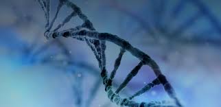 Here are 10 basic facts. Us Department Of Health Human Services Aquila