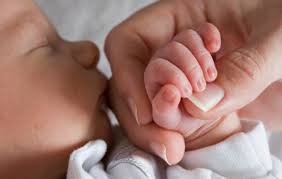 Anak zina tidak boleh di nikahi? Mengasuh Anak Hasil Zina Sama Pahalanya Dengan Mengasuh Anak Yatim Wahdah Islamiyah