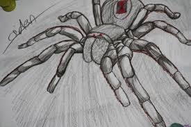 My 13 Year Old Son Aiden Bresnahan Loves To Draw He Is A True Artist Artist Drawings Draw