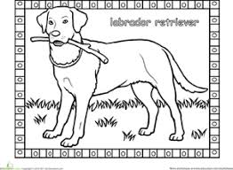 Scroll down to enjoy a huge selection of dog pictures. Labrador Worksheet Education Com Puppy Coloring Pages Dog Coloring Page Lab Dogs