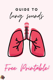 Ancc accredited provider #p0314 accepted in all 50 u.s. Guide To Lung Sounds Free Printable Lung Sounds Lung Sounds Nursing Chronic Obstructive Pulmonary