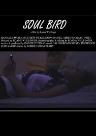 Stream soul on disney plus from just $6.99/£5.99/au$8.99 a month. Soul Bird 2014 Movie Where To Watch Streaming Online Plot