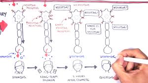 The first week after you stop is the worst, and after that, the intensity of the symptoms tends to drop over the next month. What Is Nicotine Withdrawal