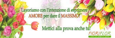 Fiori per compleanno e onomastico da regalare. Pianta Con Fiore E Frase Personalizzata Idea Regalo Compleanno Festa Della Mamma Lampen