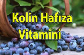 sagligim beyin guclendiren kolin hafiza vitamini topics resources website