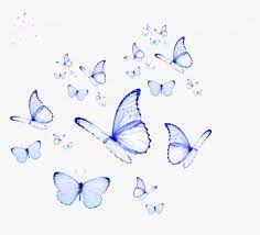 We did not find results for: Butterfly Butterflies Cute Kpop Purple Overlay Butterfly Wallpaper Aesthetic Hd Png Download Transparent Png Image Pngitem