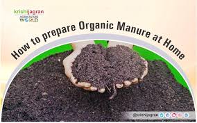 In the study above it was found that when both spider mites and predatory. How To Prepare Organic Manure At Home