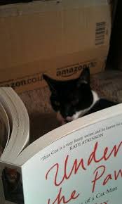 A Very Tired Cat Stuck In A Pattern Of Reading The Same Five Pages Of My Second Cat Book Just Before Falling Asleep Then Forgettin Cat Reading Cats Cat Books
