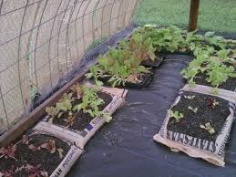 You can drape the cover right over garden plants or use hoops or a wooden frame to support it. 7 10 2013 The Shade House Apriori Farm Edible Garden Grow Bags Gardening Veggie Garden