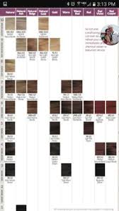 28 Albums Of Ion Permanent Hair Color Chart Explore