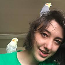 Adding turbocharger to Toyota Camroad diesel engine?