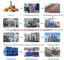 Stainless Steel Concentrate Fruit Juice Production Complete Line