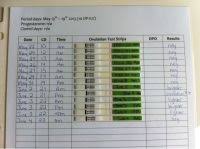 Clomid Fertility Chart Ovulation Chart