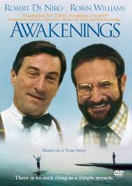 Amazon.com: AWAKENINGS DVD : Robin Williams, Julie Kavner, Ruth Nelson,  Robert De Niro, John Heard, Penelope Ann Miller, Howard Feller, Paul  Montgomery, Waheedah Ahmad, Tomislav Novakovic, Oliver Block, Gwyllum  Evans, Buck Smith,