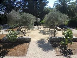In the area where i live the county has put down a 2 mile test section of what they called soil cement. Decomposed Granite Paving Landscaping Network