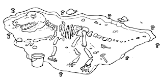 Disegni Da Colorare Torinobimbi