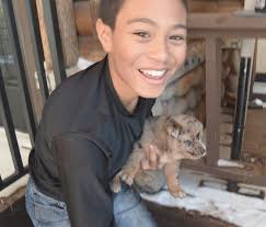 Momma dog, three puppies rescued at Winterfest