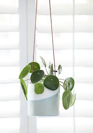 Hangepflanzen Sind Sehr Dekorativ Und Gerade Voll Im Trend Dieser Kleine Schone Ubertopf Hat In Der Unteren Halfte Ei Topfe Aufhangen Blumenampeln Blumentopf