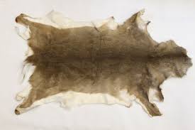 Looks beautiful on a bed or the back of a sofa. Whitetail Deer Hide Professionally Tanned Minnesota Trapline