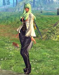 I made this guide based on my own experience and from advice i took from other players. Blade And Soul Classes Guide Blademaster Pve Pvp Combo Tutorials