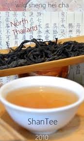 It is an insect tea produced from leaves bitten by the tea jassid, an insect that feeds on the tea plant. Shantee Wild Thai Sheng Hei Cha 2010 Siam Tee Shop