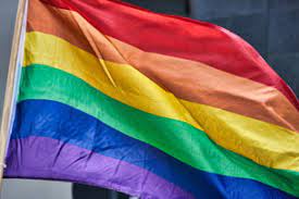 El término lgbtiq+ está formado por las siglas de las palabras lesbiana, gay, bisexual, transgénero, transexual, travesti, intersexual y queer. Dia Internacional Del Orgullo Lgbt O Dia Del Orgullo Gay
