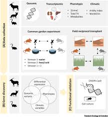 Natural and artificial selection vocabulary: Life In Deserts The Genetic Basis Of Mammalian Desert Adaptation Trends In Ecology Evolution