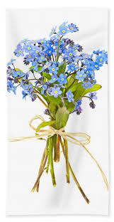 Forget me knot flowers destin. Bouquet Of Forget Me Nots Hand Towel For Sale By Elena Elisseeva