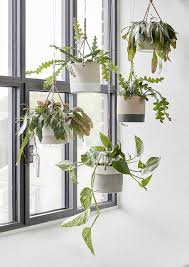 Epic 15 Wonderful Diy Hanging Plants Ideas That Good For Your Home Design Https Decoor Net 15 Wonderful Diy Hangi Hanging Plants Indoor Hanging Plants Plants
