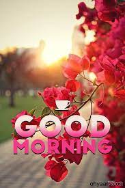 Amazing Good Morning Images Good Morning Flowers Good Morning Friends Images Good Morning Animation