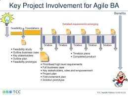 The Vital Role Of The Agile Business Analyst Business Analyst Agile Development Agile