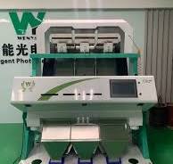 Automatic Intelligent Pecan Nuts Color Sorter Machine