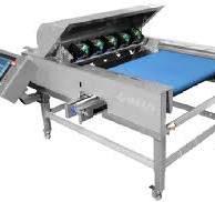 Blueberry Sorting | WECO