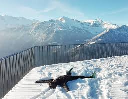 رحلة ممتعة إلى جبل هاردر كولم انترلاكن سويسرا تورنا